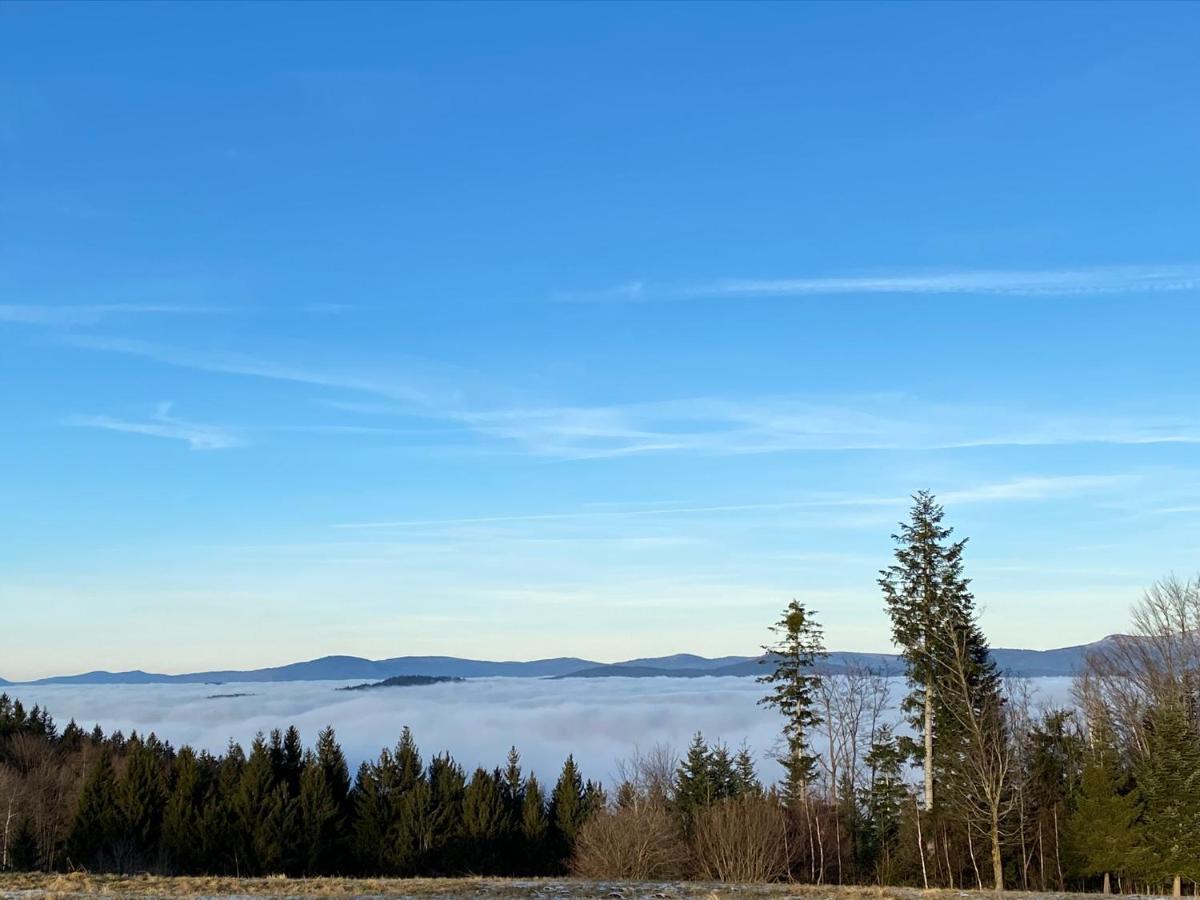 Uriges Top-Apartment Im Bayerischen Wald 3Br! +Netflix Schöfweg Extérieur photo